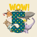WOW! You're Five birthday book-9781907860485