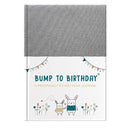 Bump to Birthday-9781907860942