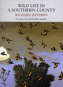 Wild Life in a Southern County-9781908213006