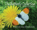 The Butterfly Collection-9781908241566