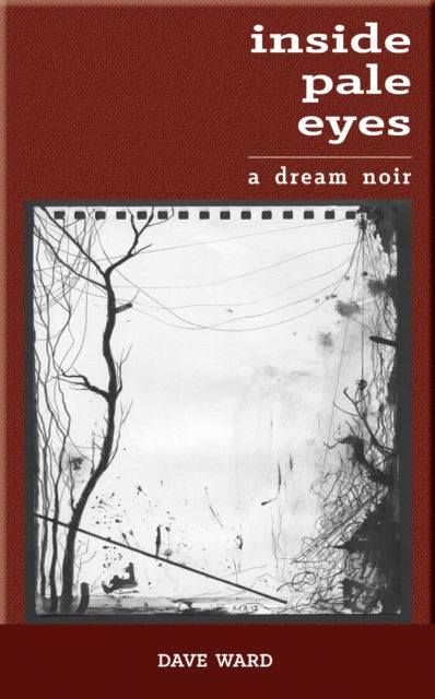 Inside Pale Eyes-9781908577856