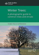 Winter Trees: a Photographic Guide to Common Trees and Shrubs-9781908819116