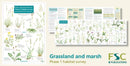 Plant Identification for Phase 1 Habitat Survey: Grassland and Marsh-9781908819260