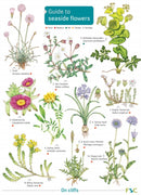 Seaside Flowers