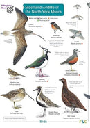 Moorland wildlife of the North York Moors-9781908819598