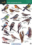 Park and garden birds-9781908819659