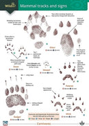 Mammal tracks and signs-9781908819864