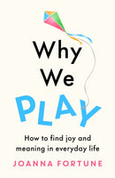 Why We Play : How to find joy and meaning in everyday life-9781909770867