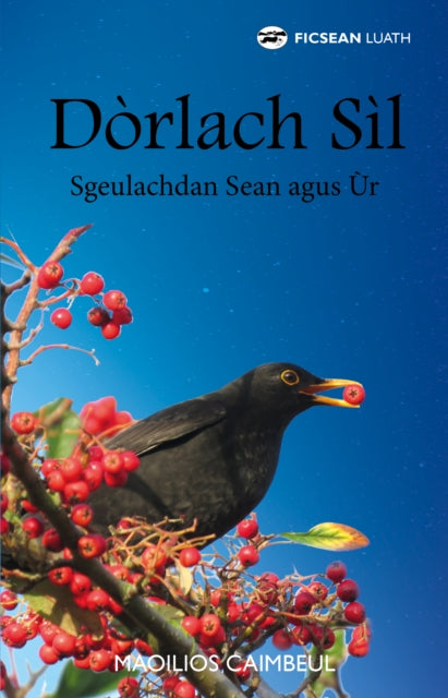 Dorlach Sil : Sgeulachdan Sean agus Ur-9781910022740