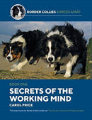 Secrets Of The Working Mind-9781910488461