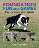 Foundation Fun And Games : Play Your Way To Agility Success-9781910488515
