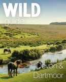 Devon & Dartmoor