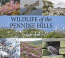 Wildlife of the Pennine Hills : Moorland : Limestone : Grassland : Woodland : Blanket Bog : Upland Heath-9781910723968