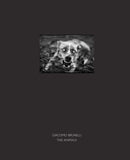 The Animals-9781911306085