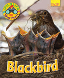 Wildlife Watchers: Blackbird-9781911341185