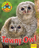 Wildlife Watchers: Tawny Owl-9781911341208