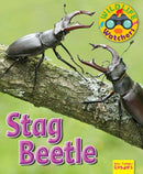 Wildlife Watchers: Stag Beetle-9781911341239