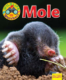 Wildlife Watchers: Mole-9781911341253