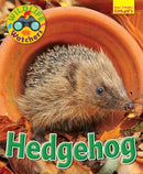 Wildlife Watchers: Hedgehog-9781911341277