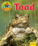 Wildlife Watchers: Toad-9781911341284