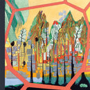 Peter Cook Drawings-9781911422532