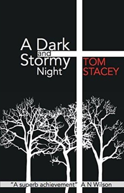 A Dark and Stormy Night-9781911487258
