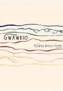 Gwawrio-9781911584773