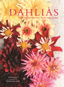 DAHLIAS HB