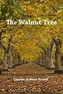 The Walnut Tree-9781911604570