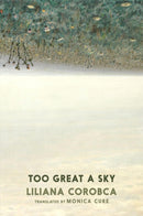 Too Great A Sky