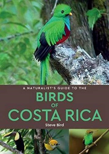 A Naturalist's Guide to the Birds of Costa Rica (2nd edition)-9781912081028