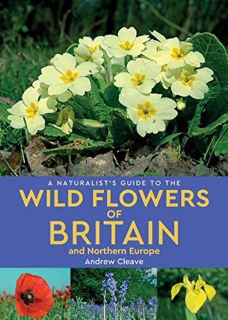 A Naturalist's Guide to the Wild Flowers of Britain and Northern Europe (2nd edition)-9781912081141