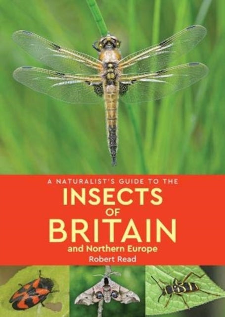 A Naturalist's Guide to the Insects of Britain and Northern Europe (2nd edition)-9781912081172