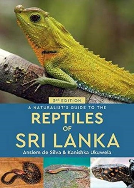 A Naturalist's Guide to the Reptiles of Sri Lanka (2nd edition)-9781912081233