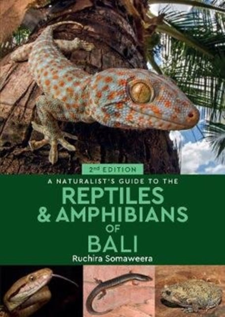 A Naturalist's Guide to the Reptiles & Amphibians of Bali (2nd edition)-9781912081257