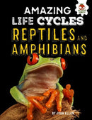 Reptiles and Amphibians - Amazing Life Cycles-9781912108992