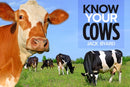 Know Your Cows-9781912158461