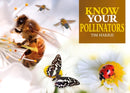 Know Your Pollinators-9781912158553
