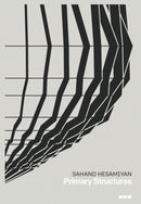 Sahand Hesamiyan