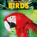 Birds-9781912171781