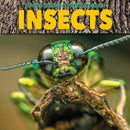Insects-9781912171811