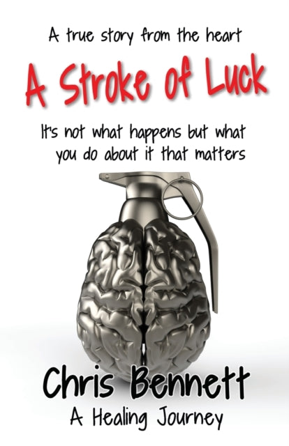 A Stroke of Luck : A Healing Journey Recovering From A Stroke-9781912256709