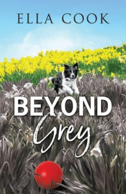 Beyond Grey-9781912550425