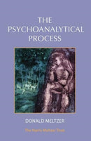 The Psychoanalytical Process-9781912567393