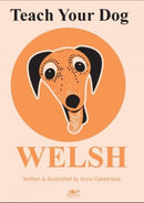 Teach Your Dog Welsh-9781912631025