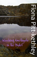 Washing Amethysts in the Bidet-9781912777365