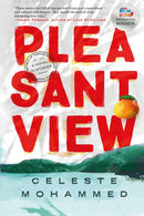 Pleasantview-9781913090913