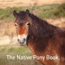 The Native Pony Book-9781913134822