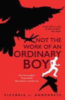 Not the Work of an Ordinary Boy-9781913432614