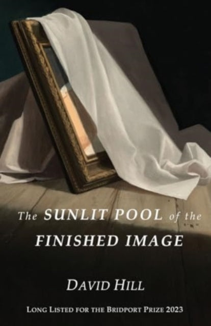 The Sunlit Pool of the Finished Image-9781913432904